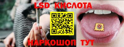 стафф Гусев